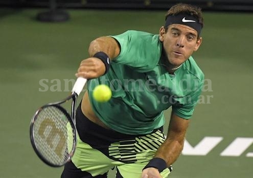 Del Potro pudo con Dimitrov en Roma