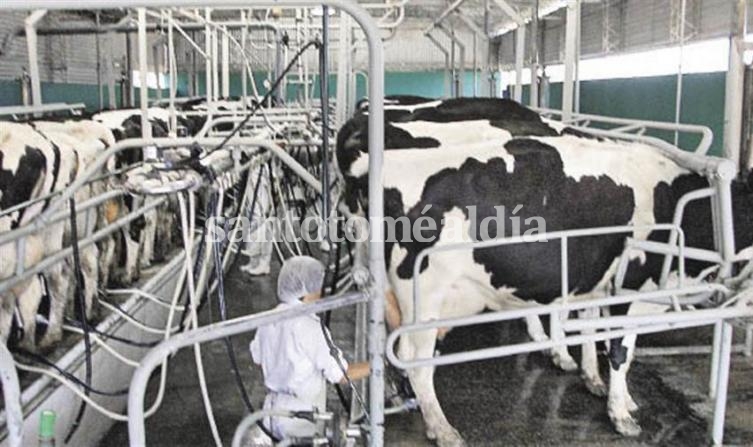 La provincia recibió el primer desembolso del fondo para tamberos