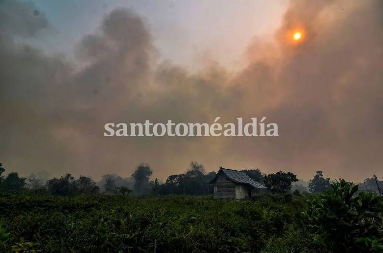 Una espesa nube de humo cubre el bosque en Pekanbaru, Riau, Indonesia. (Foto: AFP)