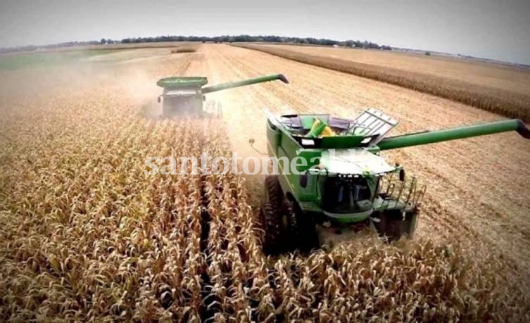 El Gobierno subió las retenciones a la soja y redujo las de las economías regionales