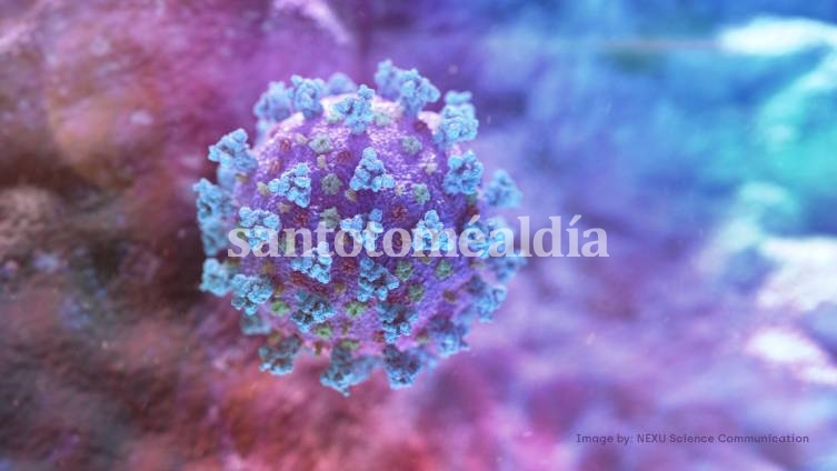 Ascienden a 38 las víctimas fatales por coronavirus en Argentina 