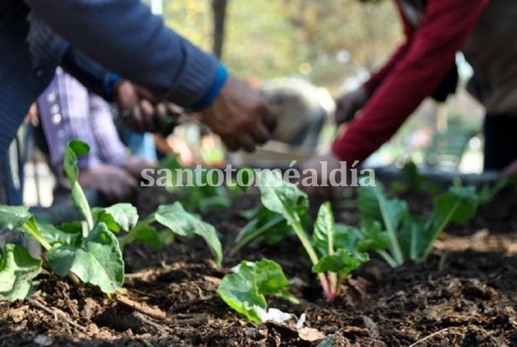 Continúan con las capacitaciones sobre Huertas Familiares