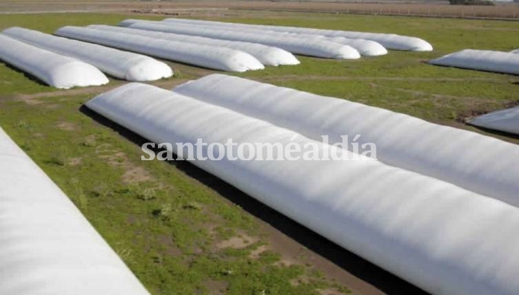 En la primera semana del dólar soja, las reservas subieron casi US$ 870 millones