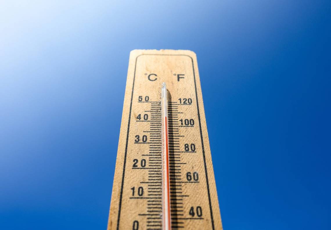 Febrero arrancó con una ola de calor intensa. 
