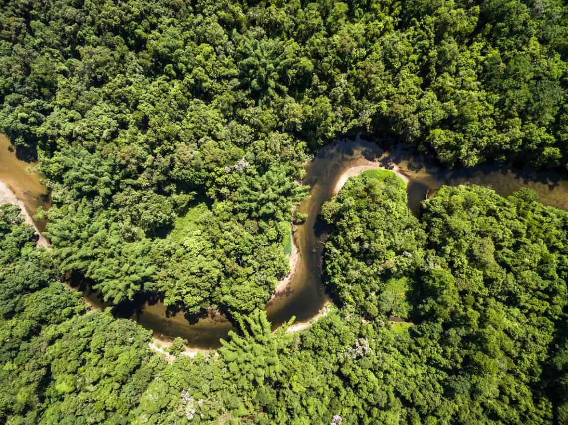 Alertan que casi la mitad del Amazonas podría desaparecer en 2050. (Crédito: filipefrazao)