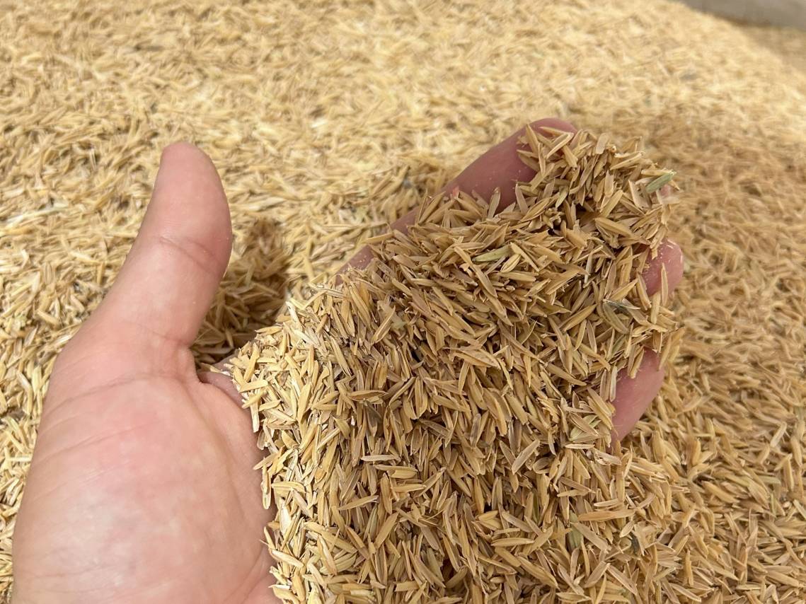 En un proceso inédito en la región, usan cáscara de arroz para generar sílice y energía térmica.  (Foto: UNL)