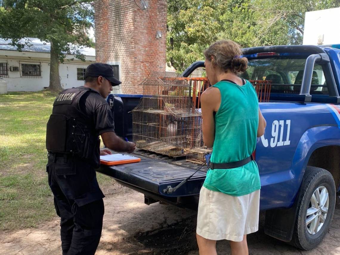 La Policía Ecológica secuestró aves autóctonas que estaban enjauladas