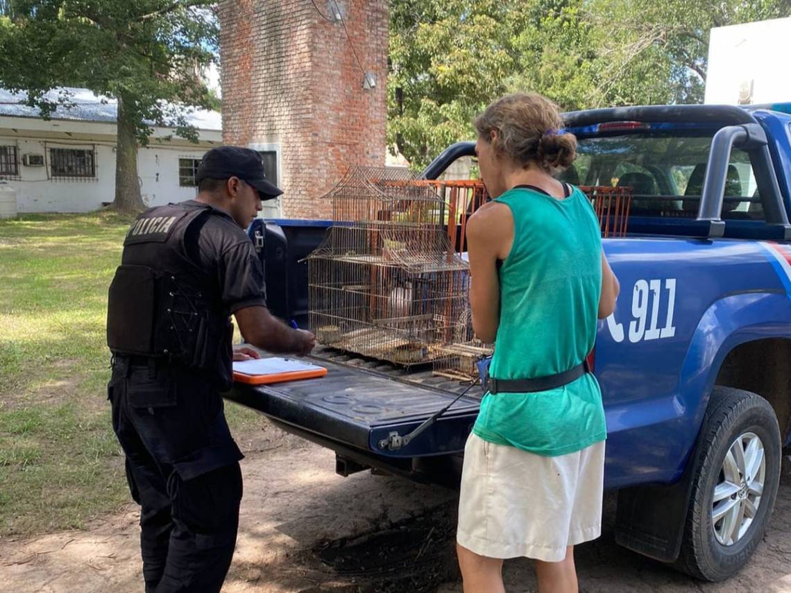 Los animales fueron derivados a la Granja la Esmeralda. 