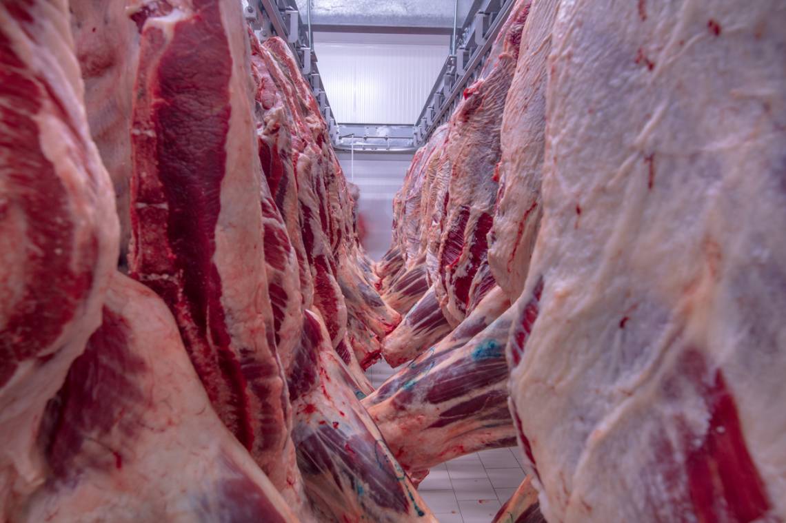 Estados Unidos cuadruplicó la cuota para importar carne vacuna desde Argentina