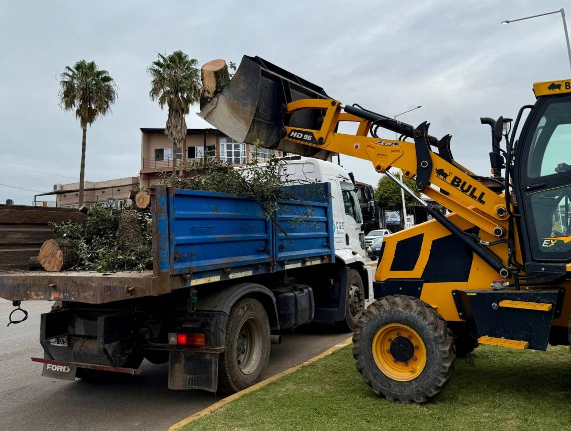 Cuadrillas municipales trabajan en turnos reforzados luego de la tormenta
