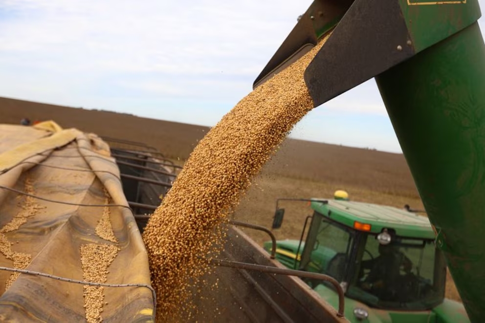 Decepción del campo con la gestión de Milei: “Este Gobierno todavía no cumplió nada”