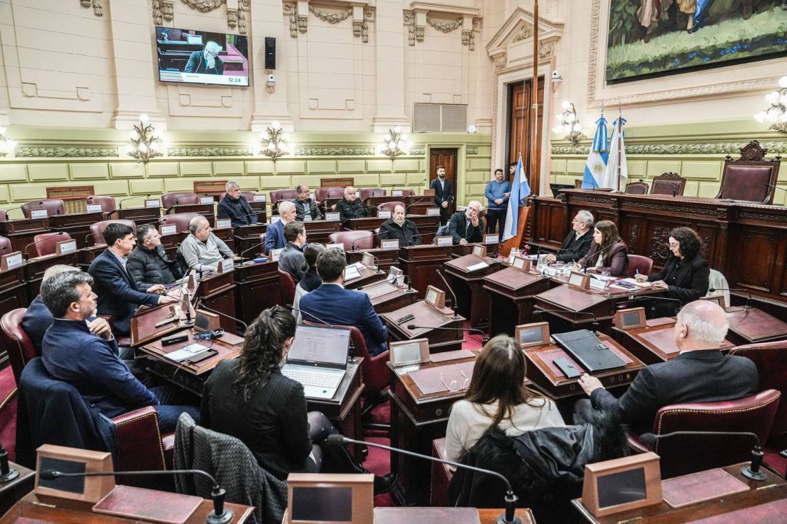 Ex combatientes, cooperativas y profesionales expusieron ante la Convención