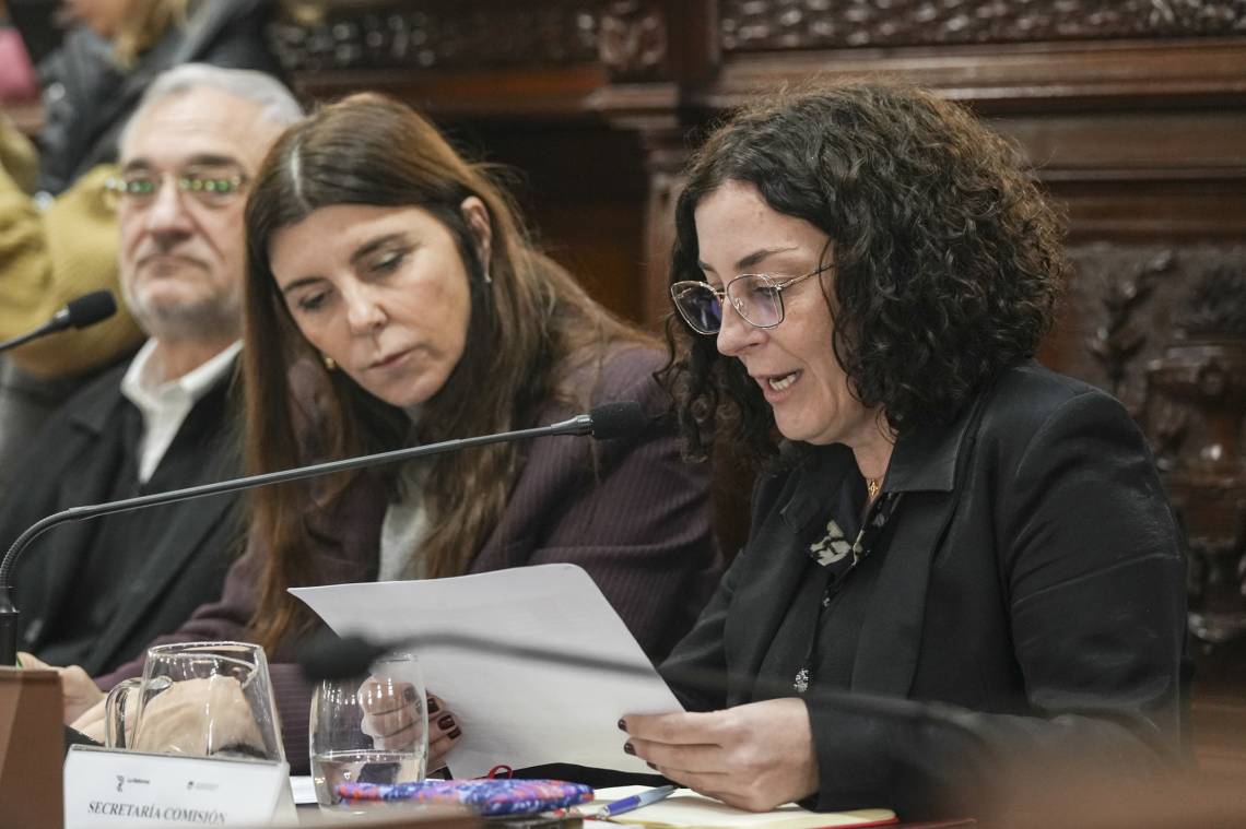 Reforma constitucional: Convocan a una audiencia pública para debatir sobre la calidad institucional del Estado