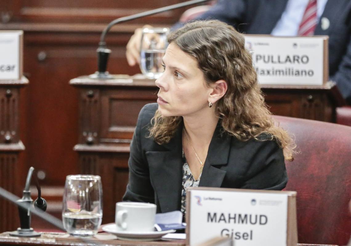 Los diez derechos digitales que propone el socialismo para tener la Constitución más moderna del país