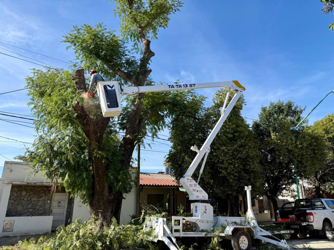Realizan tareas de mantenimiento del arbolado urbano