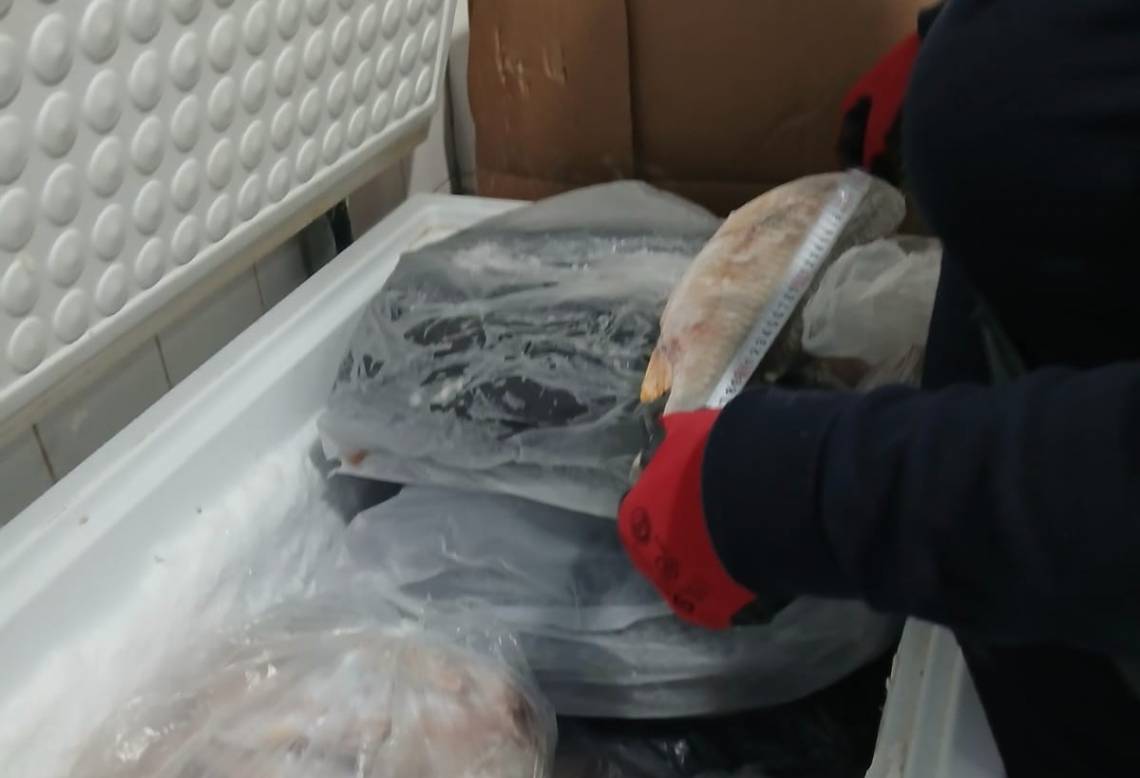 Controles en pescaderías: verifican habilitaciones y cumplimiento de normas sanitarias