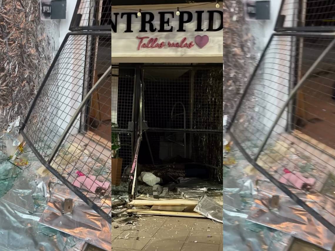 Avenida Luján: un auto destruyó el frente de un local