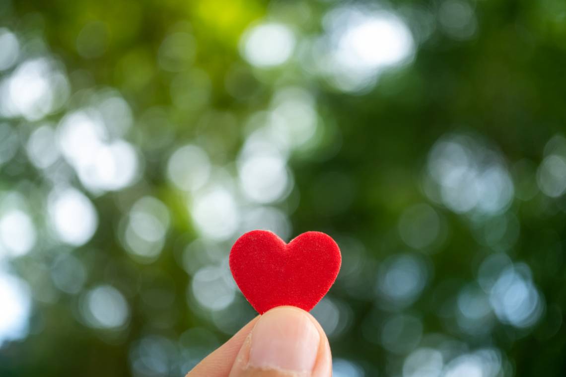 Realizarán una jornada para promover la donación de órganos