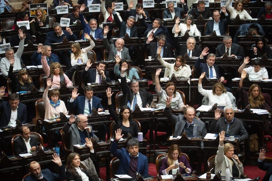 Sesión clave en el Congreso: la oposición busca revertir los vetos presidenciales