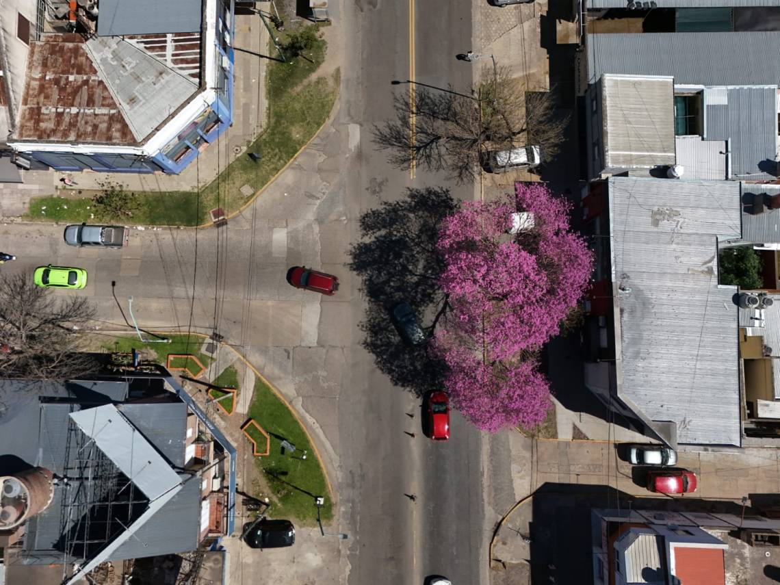 Nuevas propuestas de Alejandra Chena para promover una movilidad más responsable y sustentable