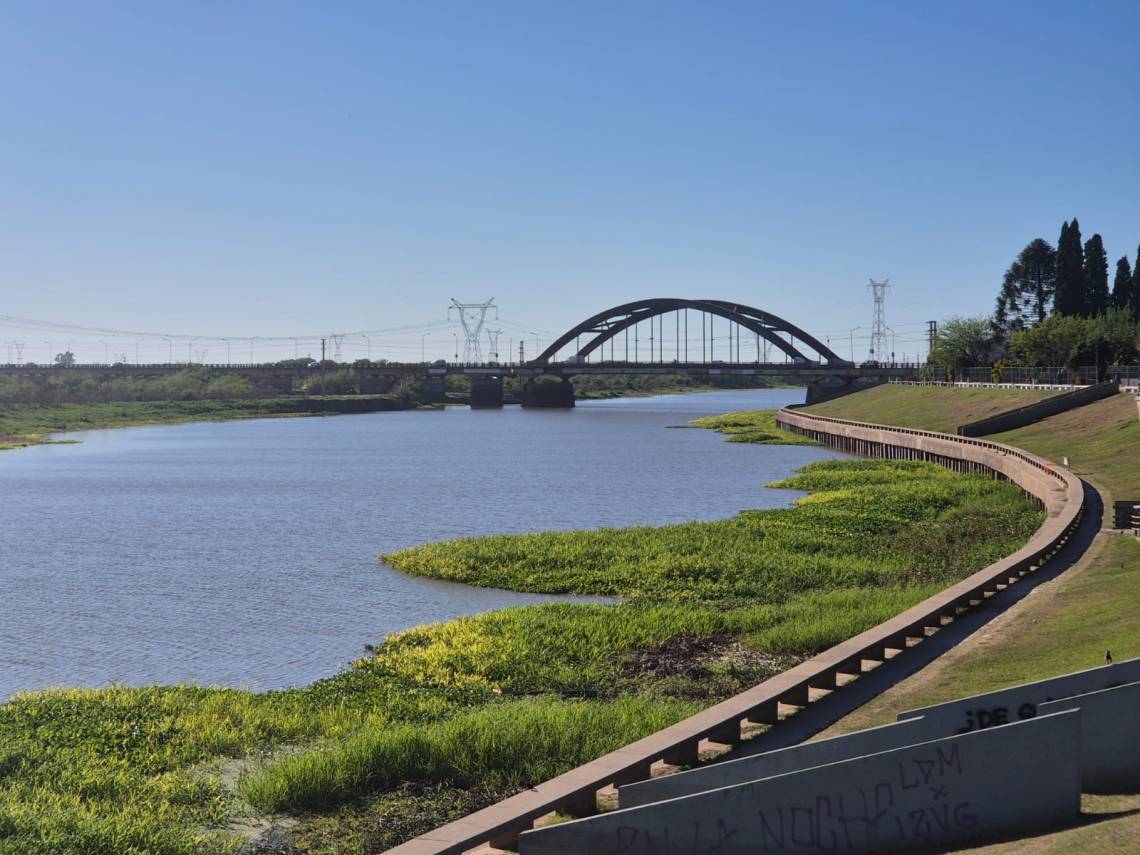 Detectan niveles récord de plaguicidas en sábalos del río Salado y alertan por su consumo