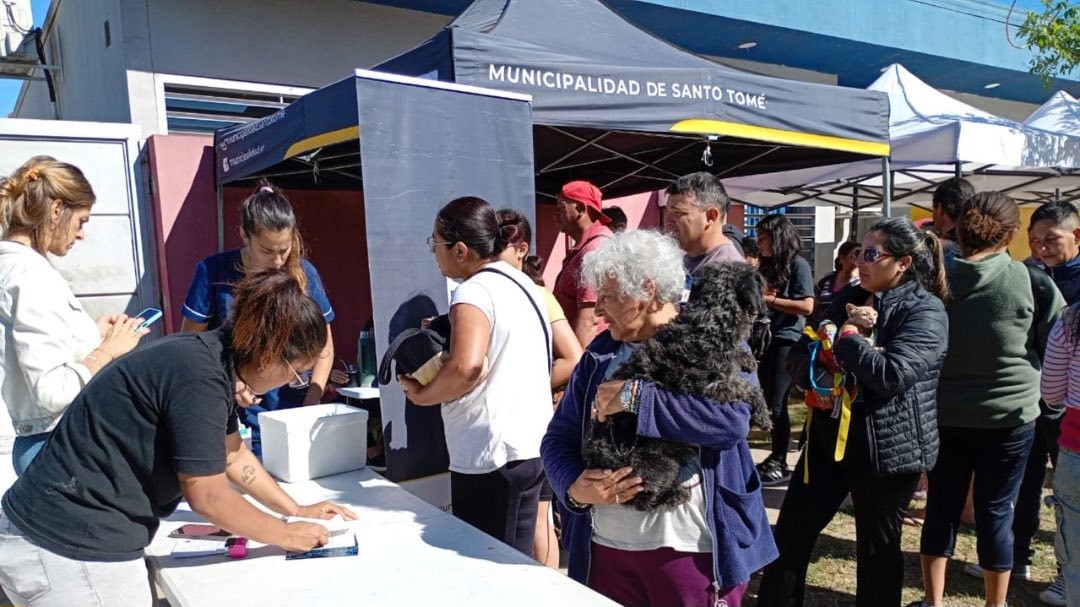 Jornada masiva de castraciones en Adelina Centro: continúan los operativos de atención veterinaria