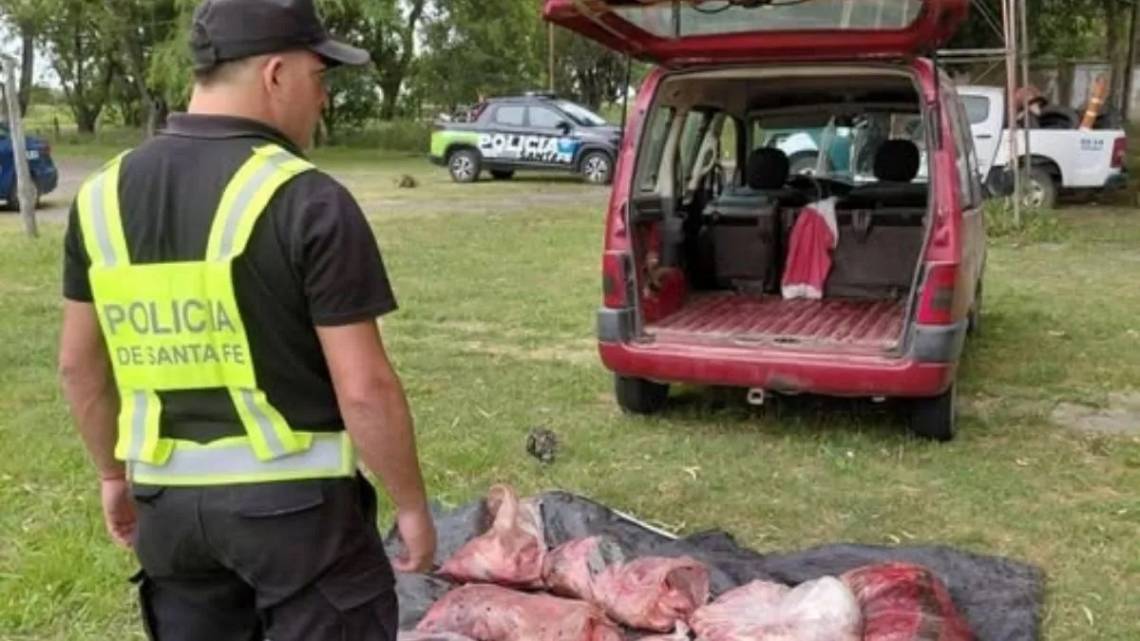 Colonia San José: detienen a dos personas que transportaban 200 kilos de carne faenada