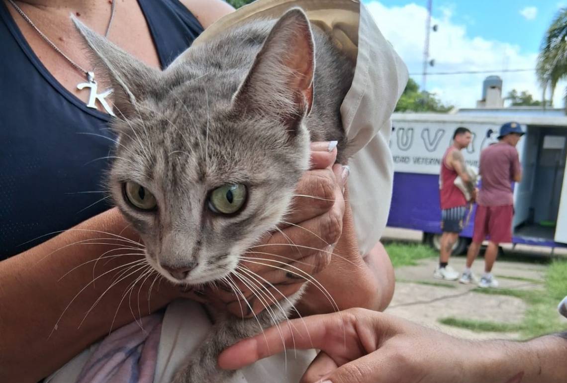 Se realizó una jornada de atención veterinaria en Villa Adelina Este