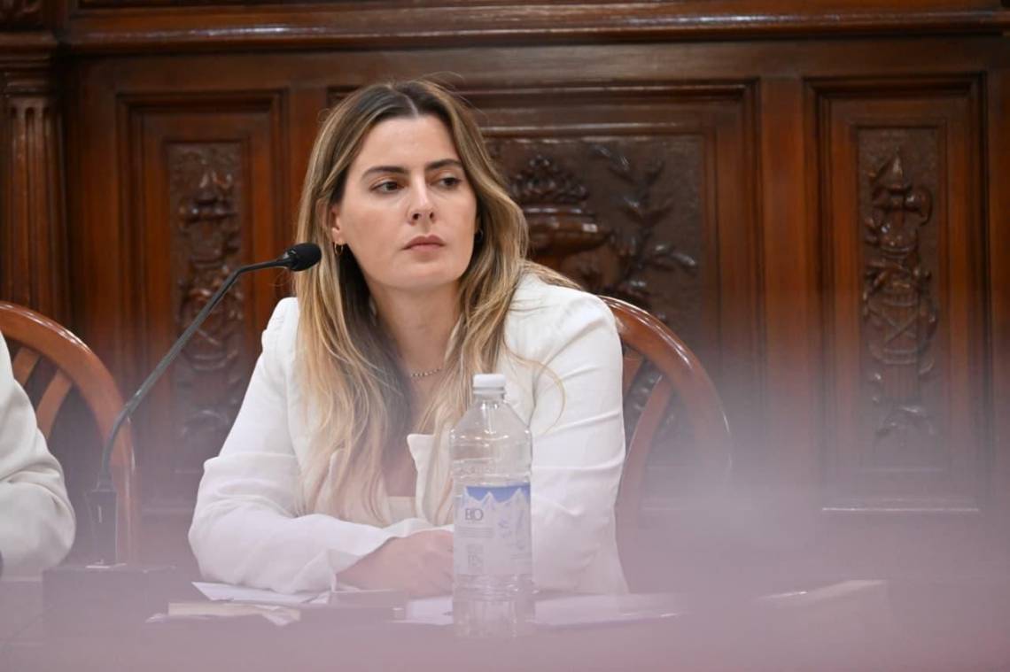 Cattalini respaldó el proceso para la nueva Corte y pidió respetar el límite constitucional de edad