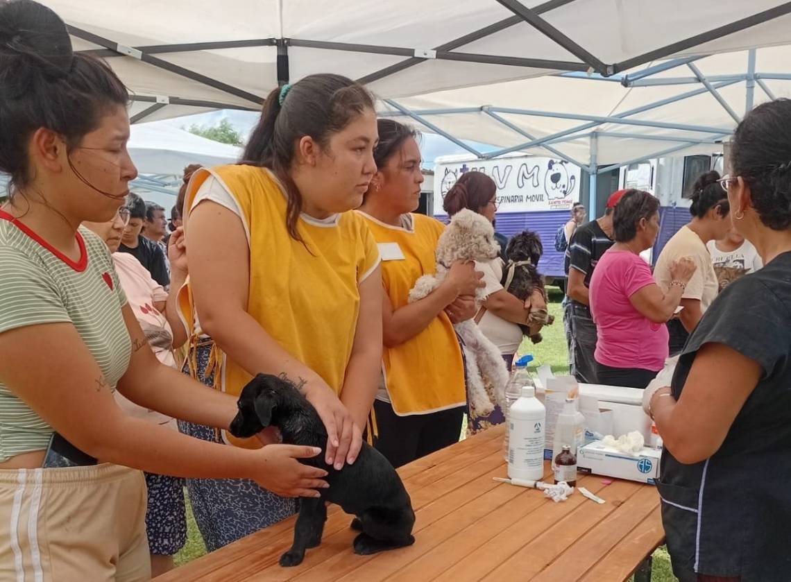 El programa de Protección Animal realizó una jornada masiva en barrio Las Vegas