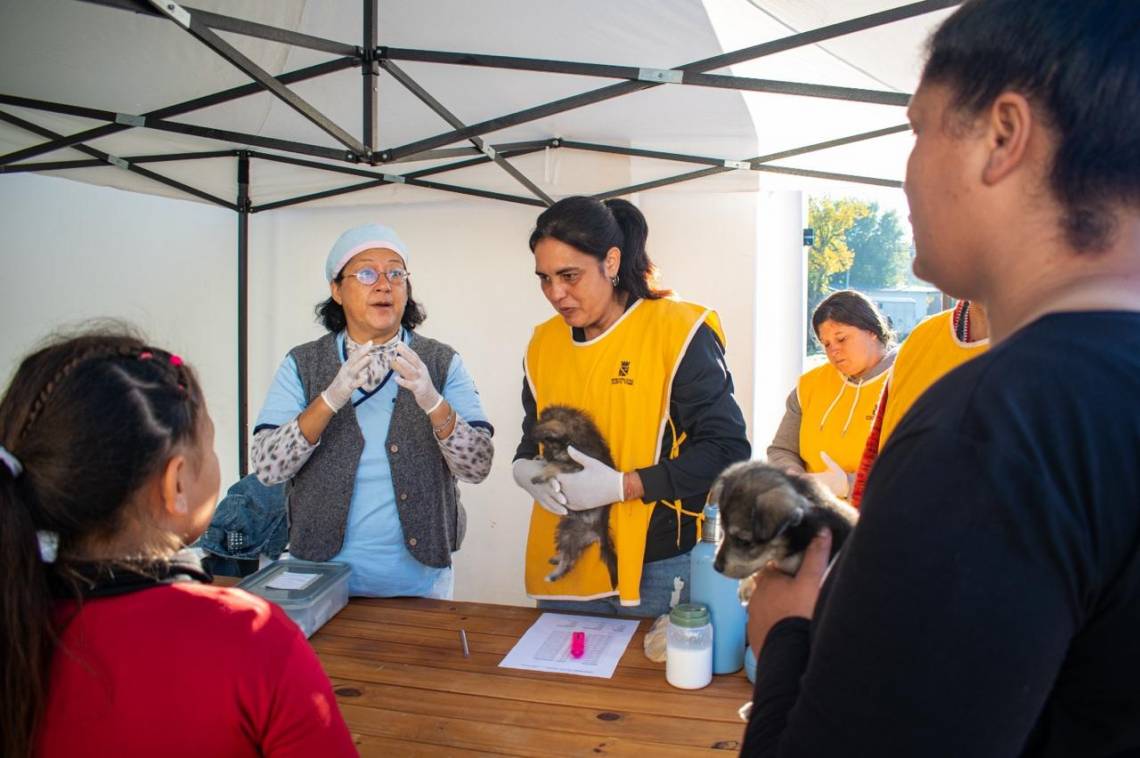 Jornada de Protección Animal en Villa Libertad