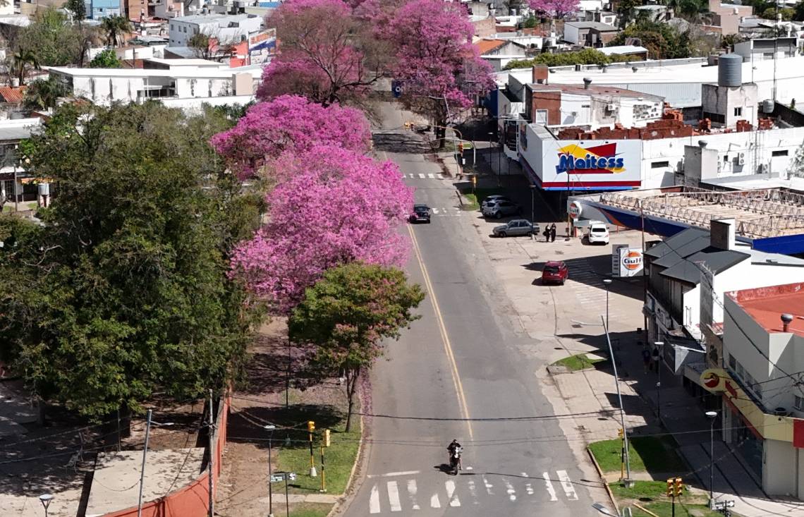 Cuatro años y medio de prisión para un hombre que intentó robar una moto en la vía pública