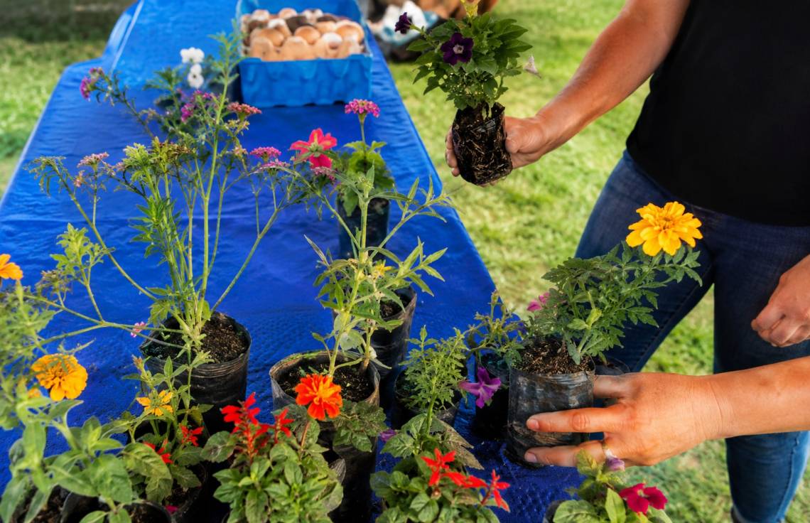 La Municipalidad dio a conocer los puntos de Eco Canje para junio