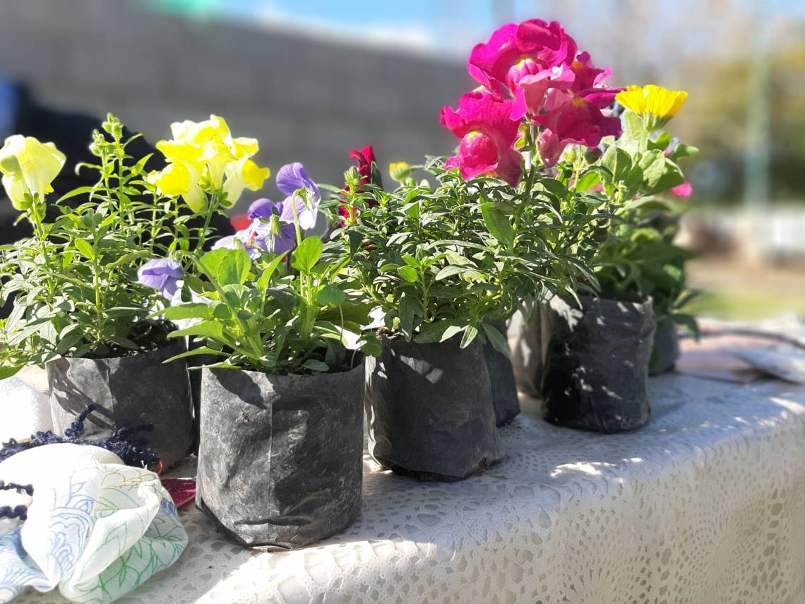 Eco Canje: ya está en marcha el cronograma de febrero