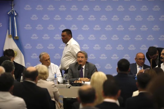 Tras una primera jornada de rechazos y tensión, continúa la audiencia pública por la Ley de Glaciares