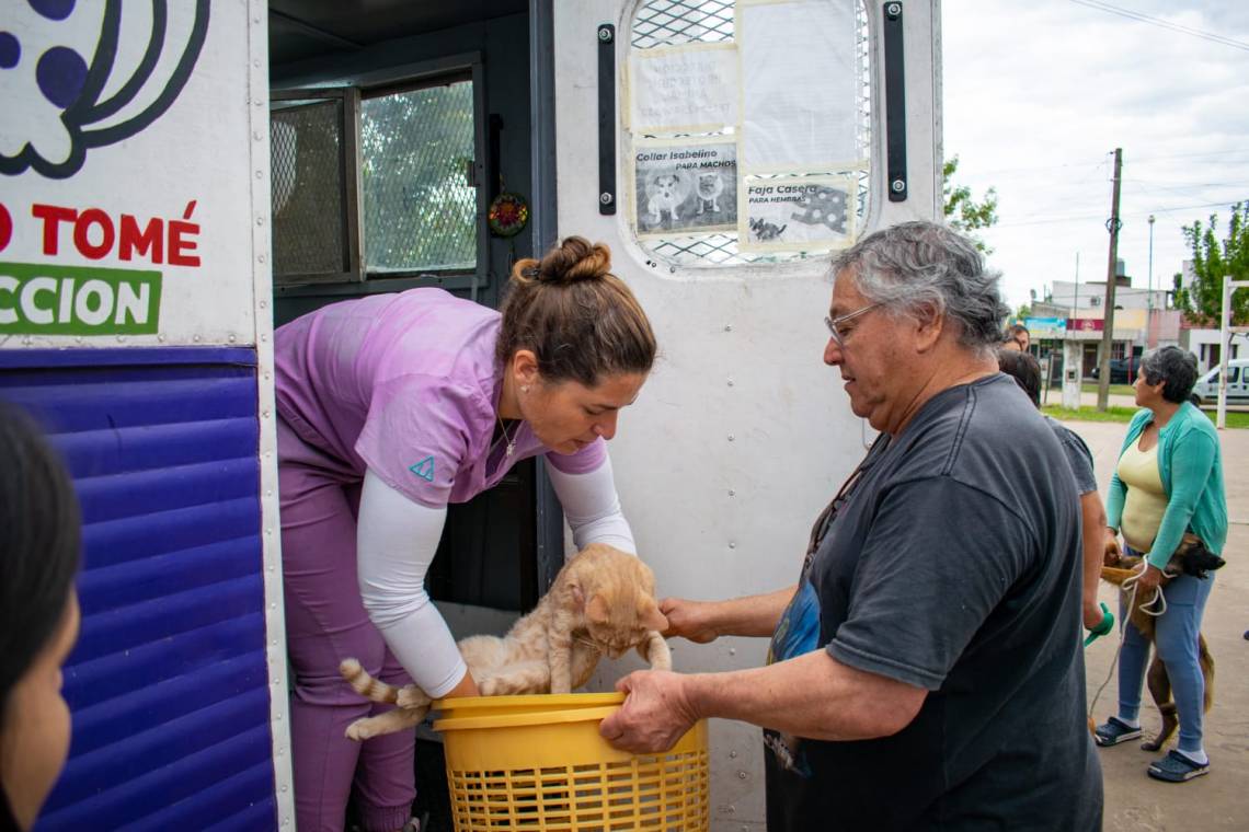 Salud animal: realizaron un abordaje territorial masivo en Vecinal Oeste