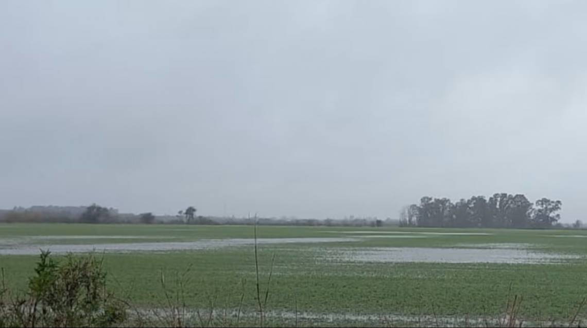 La ONU ratificó que El Niño podría ser el más fuerte de los últimos 40 años: “Se está volviendo gigantesco”