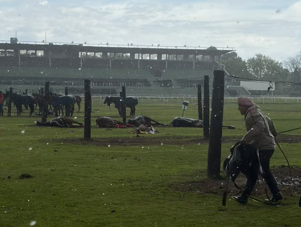 San Isidro: un rayo que cayó en el Jockey Club mató a cuatro yeguas e hirió a un cuidador
