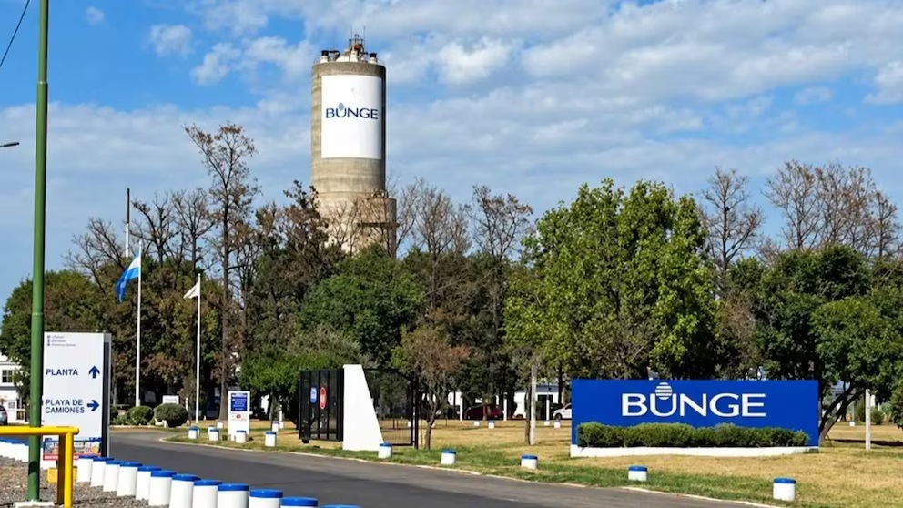 Bunge anunció que deja de producir fertilizantes en Campana y despedirá a 110 trabajadores