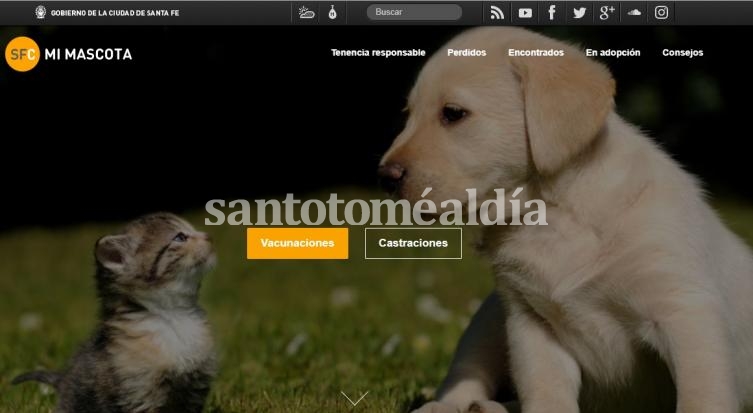 Captura de pantalla del sitio Mi Mascota
