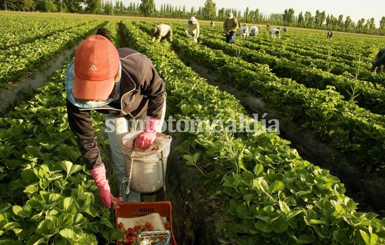 Censo Nacional Agropecuario en Sauce Viejo