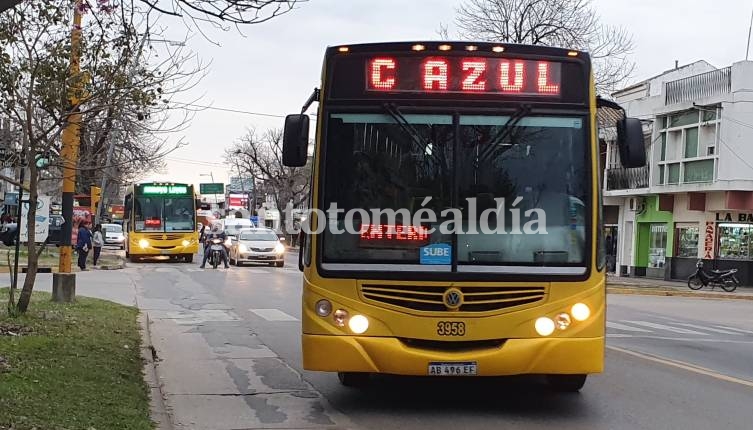 Miércoles sin colectivos: UTA anunció un paro para líneas locales e interurbanas