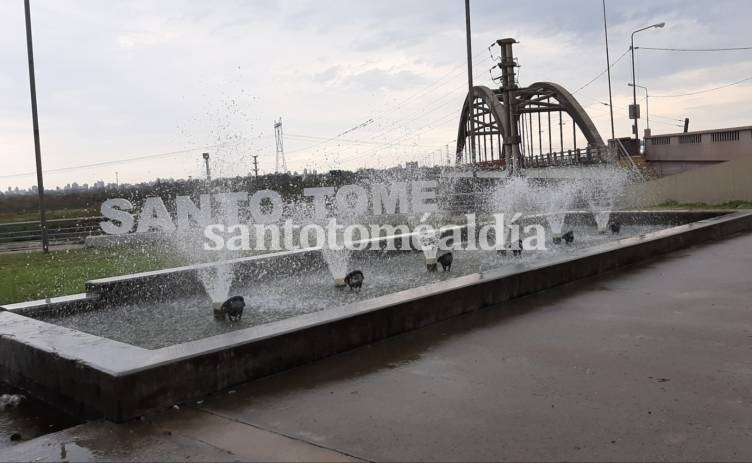 7 nuevos casos en Santo Tomé y 231 en la provincia