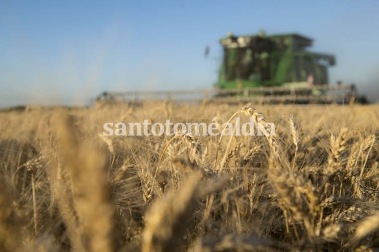 La provincia lanzó medidas para atenuar el impacto de las retenciones en los productores