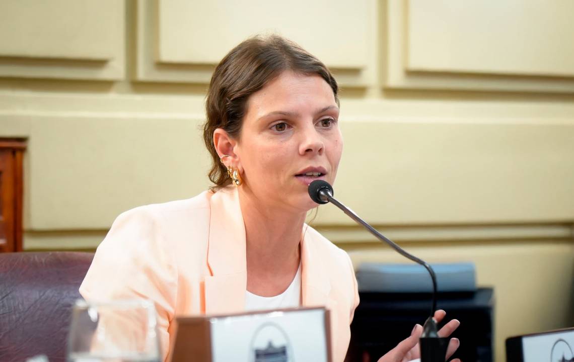 Pensar una constitución en tiempos digitales