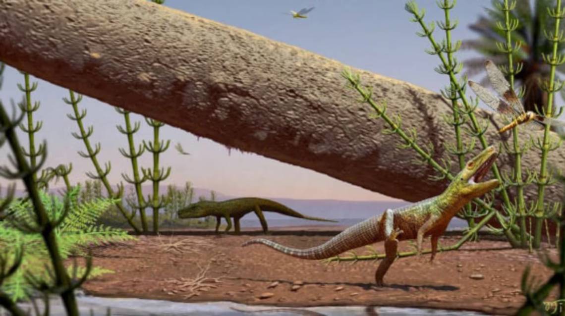 Descubren una nueva especie de reptil prehistórico que vivió hace 240 millones de años.