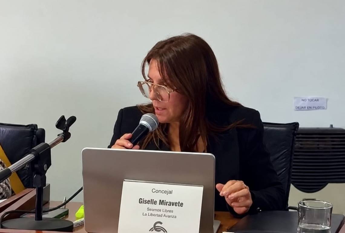 Giselle Miravete presentó un pedido de informes de 11 puntos respecto al proceso de traspaso de los servicios de agua y cloacas a ASSA. (Crédito: STD)